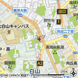 マツモトキヨシ白山五丁目店周辺の地図