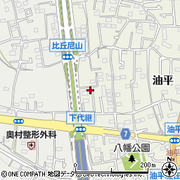 東京都あきる野市油平166-2周辺の地図