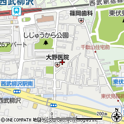 〒202-0022 東京都西東京市柳沢の地図
