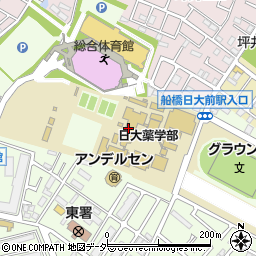 日本大学　薬学部周辺の地図