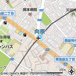 向原駅周辺の地図
