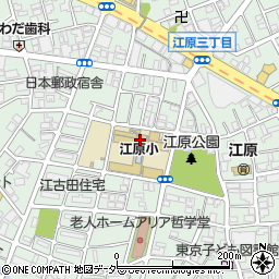 中野区立江原小学校周辺の地図