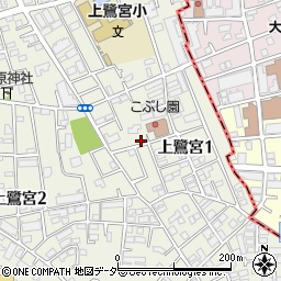 東京都中野区上鷺宮1丁目周辺の地図