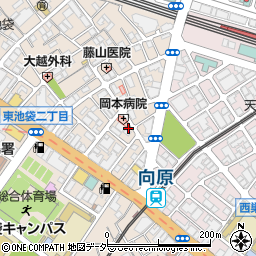 東京都豊島区東池袋2丁目5-8周辺の地図