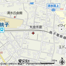 千葉県銚子市愛宕町3135周辺の地図