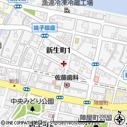 千葉県銚子市新生町1丁目49-14周辺の地図