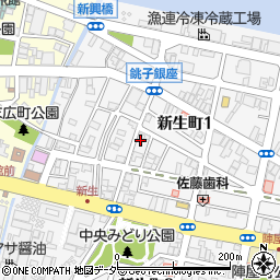 千葉県銚子市新生町1丁目54-13周辺の地図