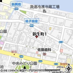 千葉県銚子市新生町1丁目49-5周辺の地図