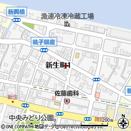 千葉県銚子市新生町1丁目48-12周辺の地図