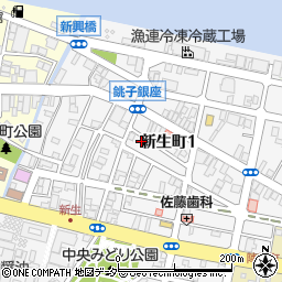 千葉県銚子市新生町1丁目49-25周辺の地図