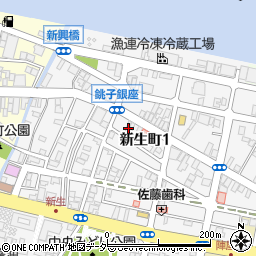 千葉県銚子市新生町1丁目48-4周辺の地図