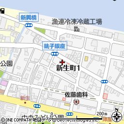 千葉県銚子市新生町1丁目48-5周辺の地図