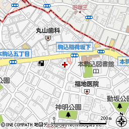 東京都文京区本駒込5丁目41-2周辺の地図