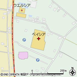 ベイシア成田芝山店周辺の地図