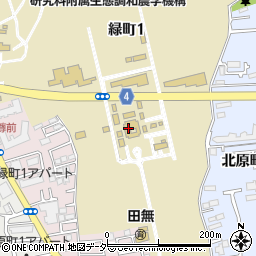 東京大学　附属田無演習林周辺の地図