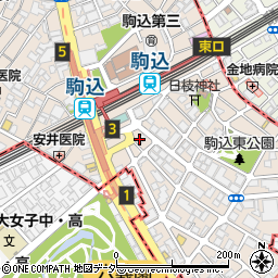 ヤミーダック Yummy duck BBQ 香港Style 駒込周辺の地図