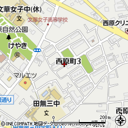 東京都西東京市西原町周辺の地図