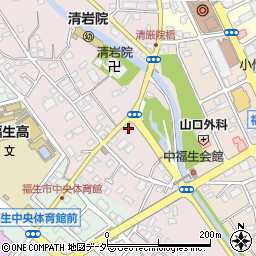 東京都福生市福生455周辺の地図