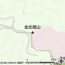 金比羅山周辺の地図