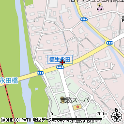 東京都福生市福生583周辺の地図