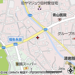 東京都福生市福生550-2周辺の地図