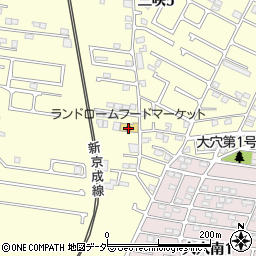 東京スター銀行ランドロームフードマーケット三咲店 ＡＴＭ周辺の地図