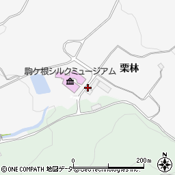 長野県駒ヶ根市東伊那栗林508周辺の地図