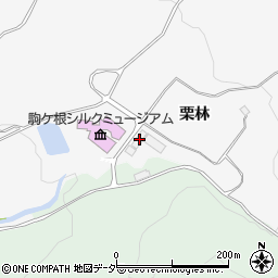 長野県駒ヶ根市東伊那栗林507周辺の地図