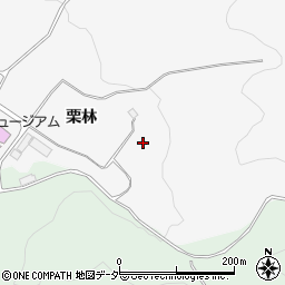 長野県駒ヶ根市東伊那栗林525周辺の地図
