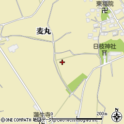 千葉県八千代市麦丸周辺の地図