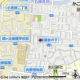 東京都板橋区大谷口北町81周辺の地図