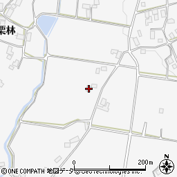 長野県駒ヶ根市東伊那栗林2950周辺の地図