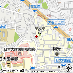 東京都板橋区大谷口上町15-8周辺の地図