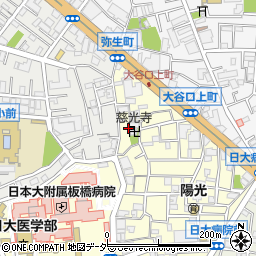 東京都板橋区大谷口上町15-10周辺の地図