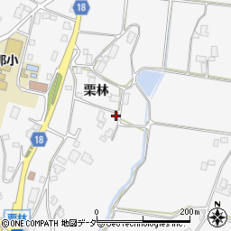 長野県駒ヶ根市東伊那栗林2520-1周辺の地図