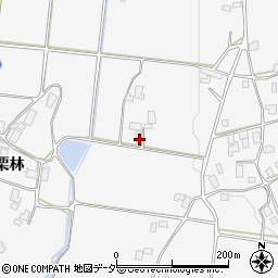 長野県駒ヶ根市東伊那栗林3019周辺の地図