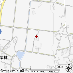 長野県駒ヶ根市東伊那栗林3022-1周辺の地図