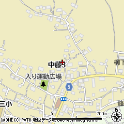 谷津自治会周辺の地図