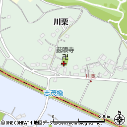 千葉県成田市川栗274周辺の地図