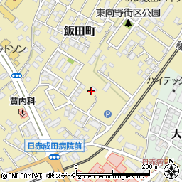 千葉県成田市飯田町周辺の地図