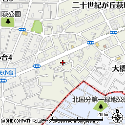 千葉県松戸市二十世紀が丘萩町215-11周辺の地図