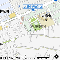 千葉県松戸市二十世紀が丘梨元町20周辺の地図