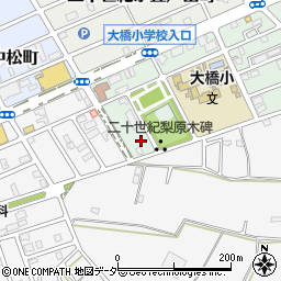 千葉県松戸市二十世紀が丘梨元町19周辺の地図