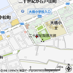 千葉県松戸市二十世紀が丘梨元町18周辺の地図