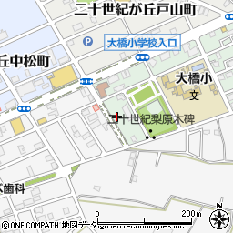 千葉県松戸市二十世紀が丘梨元町14周辺の地図