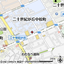 千葉県松戸市二十世紀が丘中松町29周辺の地図