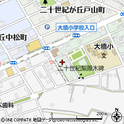 千葉県松戸市二十世紀が丘梨元町13周辺の地図
