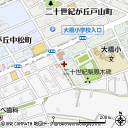千葉県松戸市二十世紀が丘梨元町12周辺の地図