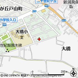 千葉県松戸市二十世紀が丘梨元町36周辺の地図