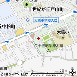 千葉県松戸市二十世紀が丘梨元町8周辺の地図